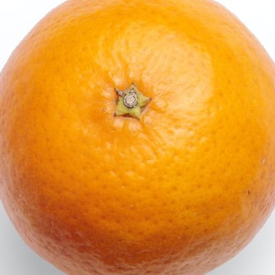 gyulcandy's profile picture. 