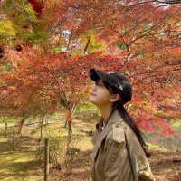 ゐろはの坂 (@koji32490495) 's Twitter Profile Photo