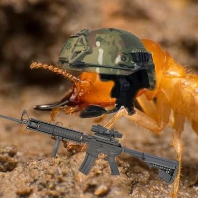 he/him/termite i fight against ants in the military. my hobbies are eating wood and lifting weights, also my favorite types of wood is cherry and birch