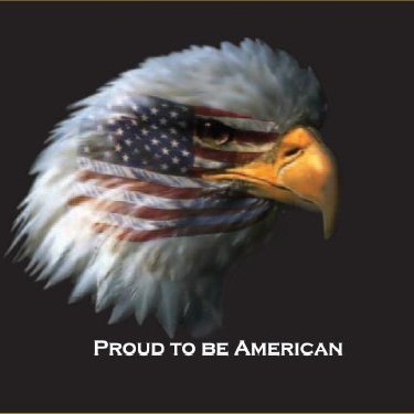 Staunch Constitutional Conservative, biker, sheepdog. Army/Navy Veteran.