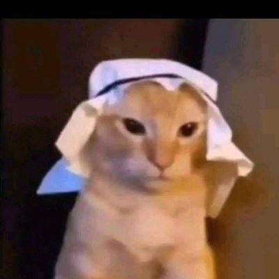 YafiZfrl's profile picture. Bat habits everyday