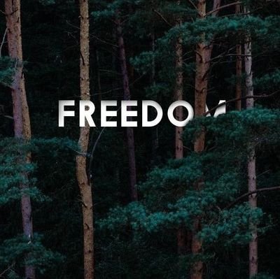 SamMg85157326's profile picture. Online marketing and investor 💷
Film visuals🎬,Photographer on profession📸📽️
Wildlife and Nature Adventures 🗺️
Basketball player by profession🏀