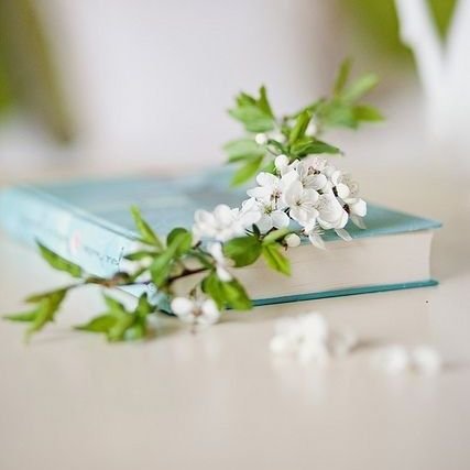 alttaweelgh's profile picture. ﻓﻜﺄﻧﻪ ﺑﺎﻟﺤﺴﻦ ﺻﻮﺭﺓ ﻳﻮﺳﻒ
                ﻭﻛﺄﻧﻨﻲ ﺑﺎﻟﺤﺰﻥ ﻣﺜﻞ ﺃﺑﻴﻪ