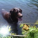 Carla Visser - @carlavdschuit - Twitter