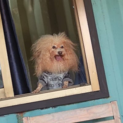 น่ารักกว่าเราในวันนี้ ก็คงเป็นเราในวันพรุ่งนี้อะ