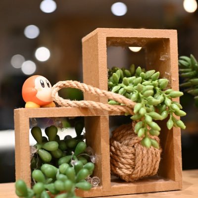 なんのさんのプロフィール画像