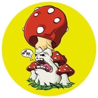 Suicide Mushroom(@SuicideMushroom) 's Twitter Profile Photo