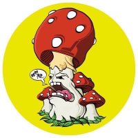 Suicide Mushroom (@suicidemushroom) Twitter profile photo