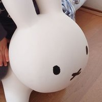 ぼってぃが (@123max7) 's Twitter Profile