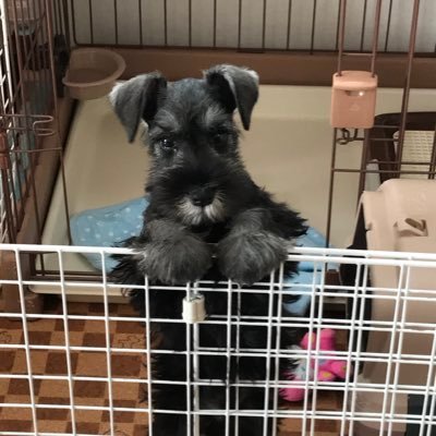 8X533ySaQYpivTW's profile picture. 🥺