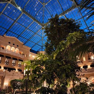 30ksteps3kUSD's profile picture. Vulture, Poker player,
Apex AP