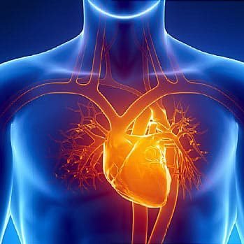 Vasospastic angina 🫀Coronary Artery Spasm ❤️‍🩹 #INOCA #MINOCA #ANOCA #CAS #CMD ❤️ Connecting patients with research, support groups and specialists