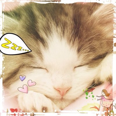 nao_70_noa's profile picture. 