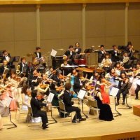 Chiffon String Ensemble (@chiffon_string) 's Twitter Profile