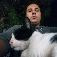 Mahmoud Salmani (@mahmoud_salmani) 's Twitter Profile Photo