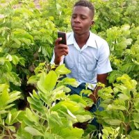 Yo Daouda (@yodaouda) 's Twitter Profile