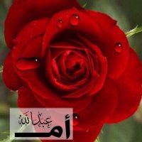 🌹ام عبدالله🌹الخاص بلوك🌹 (@trf2288) 's Twitter Profile Photo 🌹ام عبدالله🌹الخاص بلوك🌹 (@trf2288) 's Twitter Profile Photo