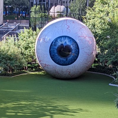 David558770521's profile picture. 