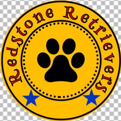 RedstoneRetrie2's profile picture. This is a fun place to follow golden retrievers and other stuff. Enjoy. Thanks. -Redstone Retrievers