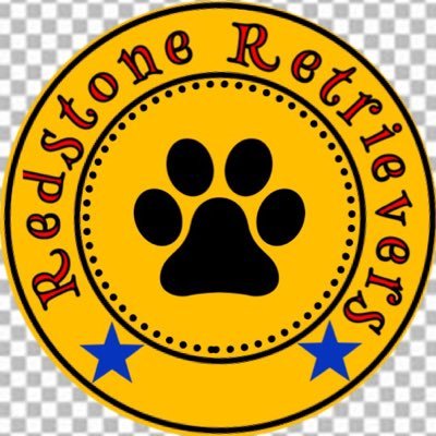 This is a fun place to follow golden retrievers and other stuff. Enjoy. Thanks. -Redstone Retrievers