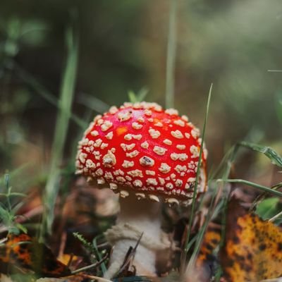 devon_our's profile picture. 