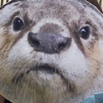 korinako_17's profile picture. ナショグル17期 はいからおんど、むっちゃーす