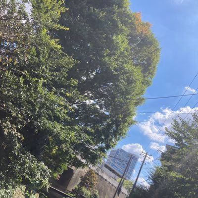 PgkwUDuLgkgTV82's profile picture. 