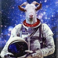 DiagolonSpaceForce(@DiagolonSpaceEx) 's Twitter Profile Photo