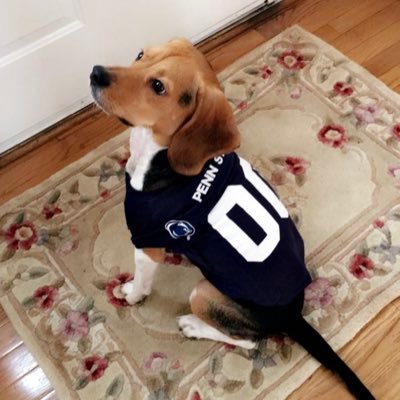 Huge Penn St Basketball & Football Fan. When not rooting for the Nittany Lions it’s tracking the next big weather storm! #SevereWeather #Snow #Rain
