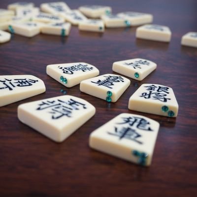 🍀一歩会公式アカウント🍀視覚や聴覚 身体など障害の垣根なく皆で楽しく将棋を指せる場所を作る為 2021年4月設立⭐️活動報告イベント告知などポスト一昨年 日本点字図書館声の雑誌『ホームライフ』8月号に一歩会の活動が掲載。写真など無断使用お控え下さい🙇毎月活動中🙂7月~9月社団戦一歩会ブースに皆様遊びに来て下さい