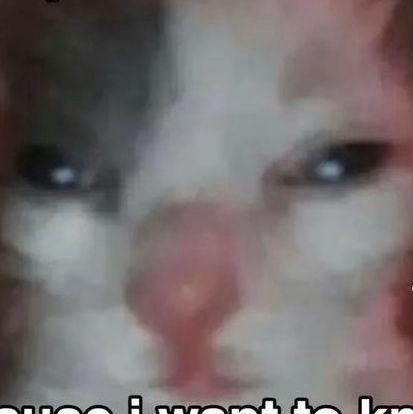 rny3r's profile picture. 1502