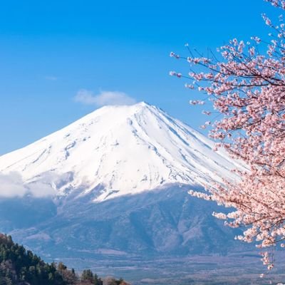 未来の子どもたちに平和な日本を残したい🌸反日左翼は大嫌い。皆様のツイートで日々勉強中。