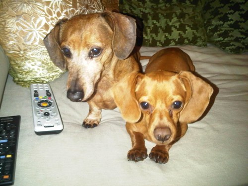 gellis34's profile picture. People seem to like me because I am polite and I am rarely late. I like to eat ice cream and I really enjoy a nice pair of slacks.