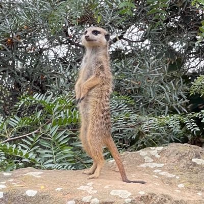 apple__part's profile picture. 