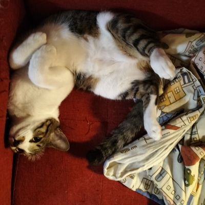 人を大切に、うつくしく生きる