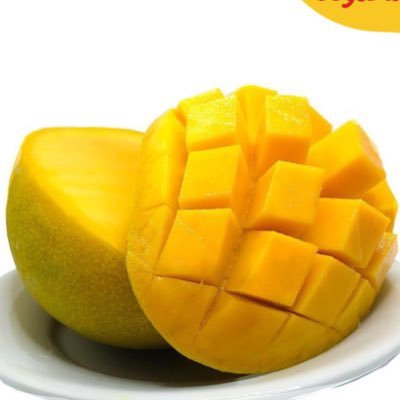 مزارع مانجو متنوعة تنتج اجود الانواع ،تأتيكم من وادي حلي جنوب السعودية🥭اشاركك معلومات زراعية تفيدك في زراعة المانجو بكل الطرق🥭نقدم خدمات شاملة في الزراعة🥭