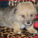 Barry Griffey - @bgriffwork - Twitter