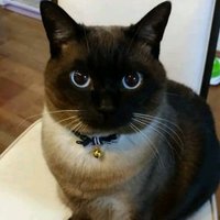 Jorge Diaz (@jorgediazgye) 's Twitter Profile