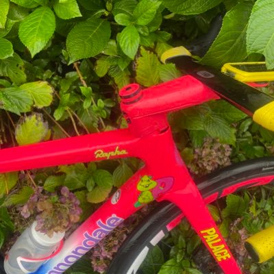 renard92868141's profile picture. 