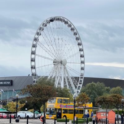 extrararee's profile picture. 