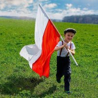 Polskie drogi (@cyfralab) 's Twitter Profile