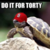 TortyCraig1 (@tortycraig1) Twitter profile photo