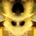 Patrick Maloney - @malones16 - Twitter