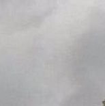 ___fmri's profile picture. 