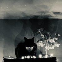 Naomi Simone Borwein (@borwein_ns) 's Twitter Profile