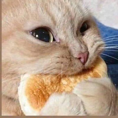 Koreijiiさんのプロフィール画像