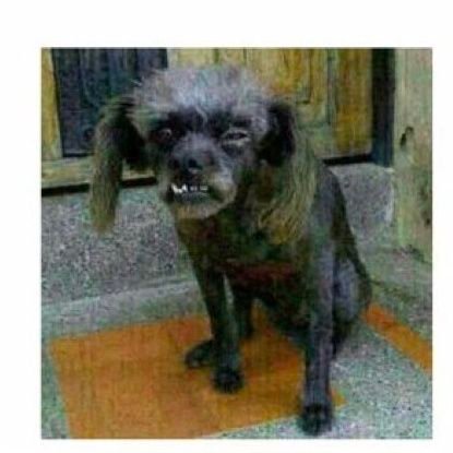 EfrenRoda's profile picture. 