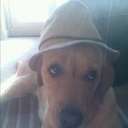 seth dodson - @DodsonSeth - Twitter