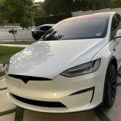 TeslaBull10T Profile Picture