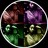 BoricuaMamiCDMR's profile image